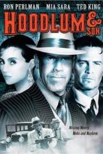 Watch Hoodlum & Son 9Movies