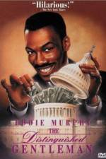 Watch The Distinguished Gentleman 9Movies