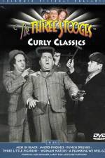 Watch Punch Drunks 9Movies