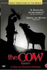 Watch Gaav 9Movies