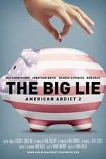 Watch American Addict 2 The Big Lie 9Movies