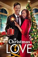 Watch A Christmas Love 9Movies