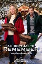 Watch A Christmas to Remember 9Movies