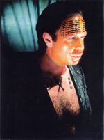 Watch The Age of Insects 9Movies