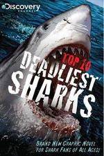 Watch National Geographic Worlds Deadliest Sharks 9Movies