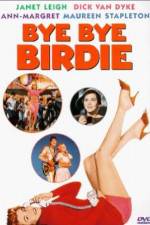 Watch Bye Bye Birdie 9Movies