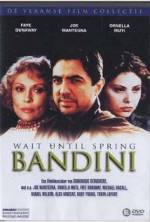 Watch Wait Until Spring, Bandini 9Movies