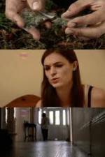 Watch How Drugs Work: Cannabis 9Movies