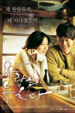 Watch Lost in Love 9Movies