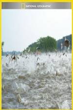 Watch National Geographic Hooked Carp Invasion 9Movies
