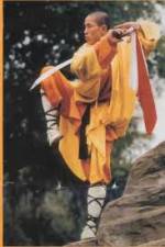 Watch National Geographic Kung Fu Secrets 9Movies