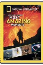 Watch National Geographic's Most Amazing Moments 9Movies
