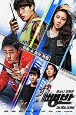 Watch Hit-and-Run Squad 9Movies