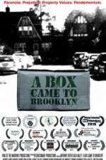 Watch A Box Came to Brooklyn 9Movies