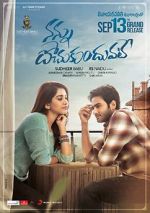 Watch Nannu Dochukunduvate 9Movies