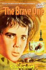 Watch The Brave One 9Movies