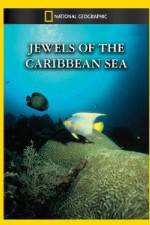 Watch National Geographic Jewels of the Caribbean Sea 9Movies