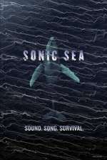 Watch Sonic Sea 9Movies