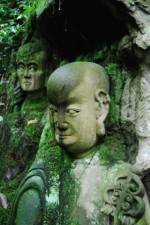 Watch The Thousand Years Old Man 9Movies