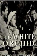 Watch The White Orchid 9Movies