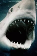 Watch Sharkmania: The Top 15 Biggest Baddest Bloodiest Bites 9Movies