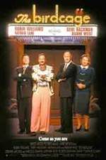 Watch The Birdcage 9Movies