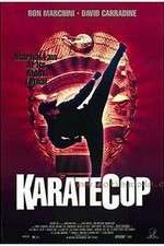 Watch Karate Cop 9Movies