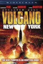Watch Disaster Zone: Volcano in New York 9Movies