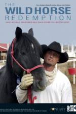 Watch The Wild Horse Redemption 9Movies