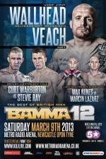 Watch BAMMA 12: Wallhead vs Veach 9Movies