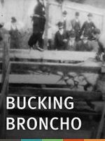 Watch Bucking Broncho 9Movies