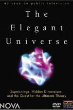 Watch The Elegant Universe 9Movies