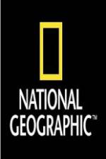 Watch National Geographic Wild War Elephants 9Movies
