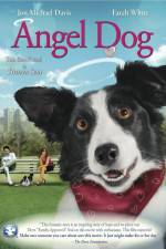 Watch Angel Dog 9Movies