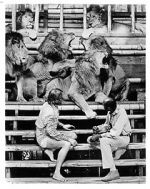 Watch Roar: The Most Dangerous Movie Ever Made 9Movies