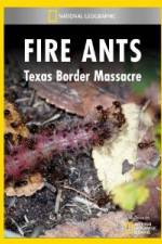 Watch National Geographic Fire Ants: Texas Border Massacre 9Movies