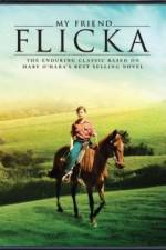 Watch My Friend Flicka 9Movies