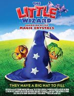 Watch The Little Wizard: Guardian of the Magic Crystals 9Movies