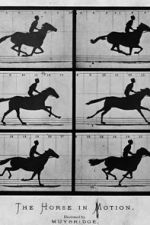 Watch Sallie Gardner at a Gallop 9Movies