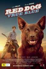 Watch Red Dog True Blue 9Movies