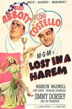 Watch Lost in a Harem 9Movies