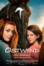 Watch Windstorm 4: Ari\'s Arrival 9Movies