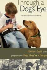 Watch Through a Dog's Eyes 9Movies