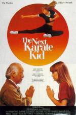 Watch The Next Karate Kid 9Movies