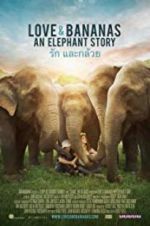 Watch Love & Bananas 9Movies
