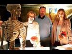 Watch Inside the Body of Henry VIII 9Movies