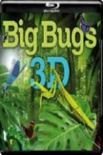 Watch Big Bugs in 3D 9Movies