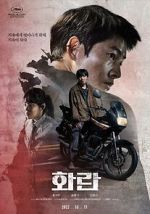 Watch Hopeless 9Movies