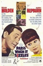 Watch Paris When It Sizzles 9Movies
