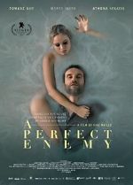 Watch A Perfect Enemy 9Movies